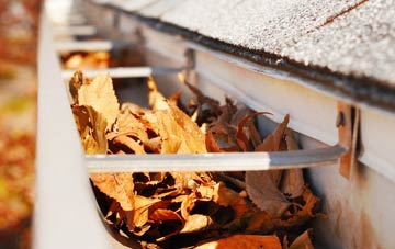 Landore gutter cleaning companies