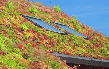 Landore living roof systems