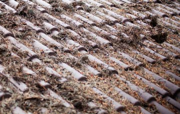 Landore roof cleaning companies