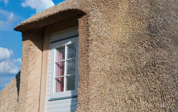 Landore thatch roof disadvantages