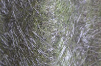 Landore fibreglass roof work